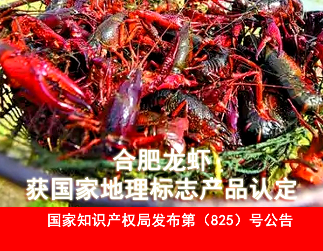 喜讯！“合肥龙虾”获国家地理标志产品认定