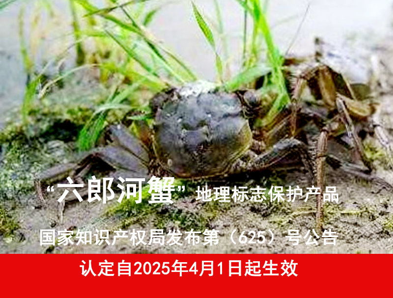 喜讯！六郎河蟹获得地理标志产品认定  红盾又一成功案例